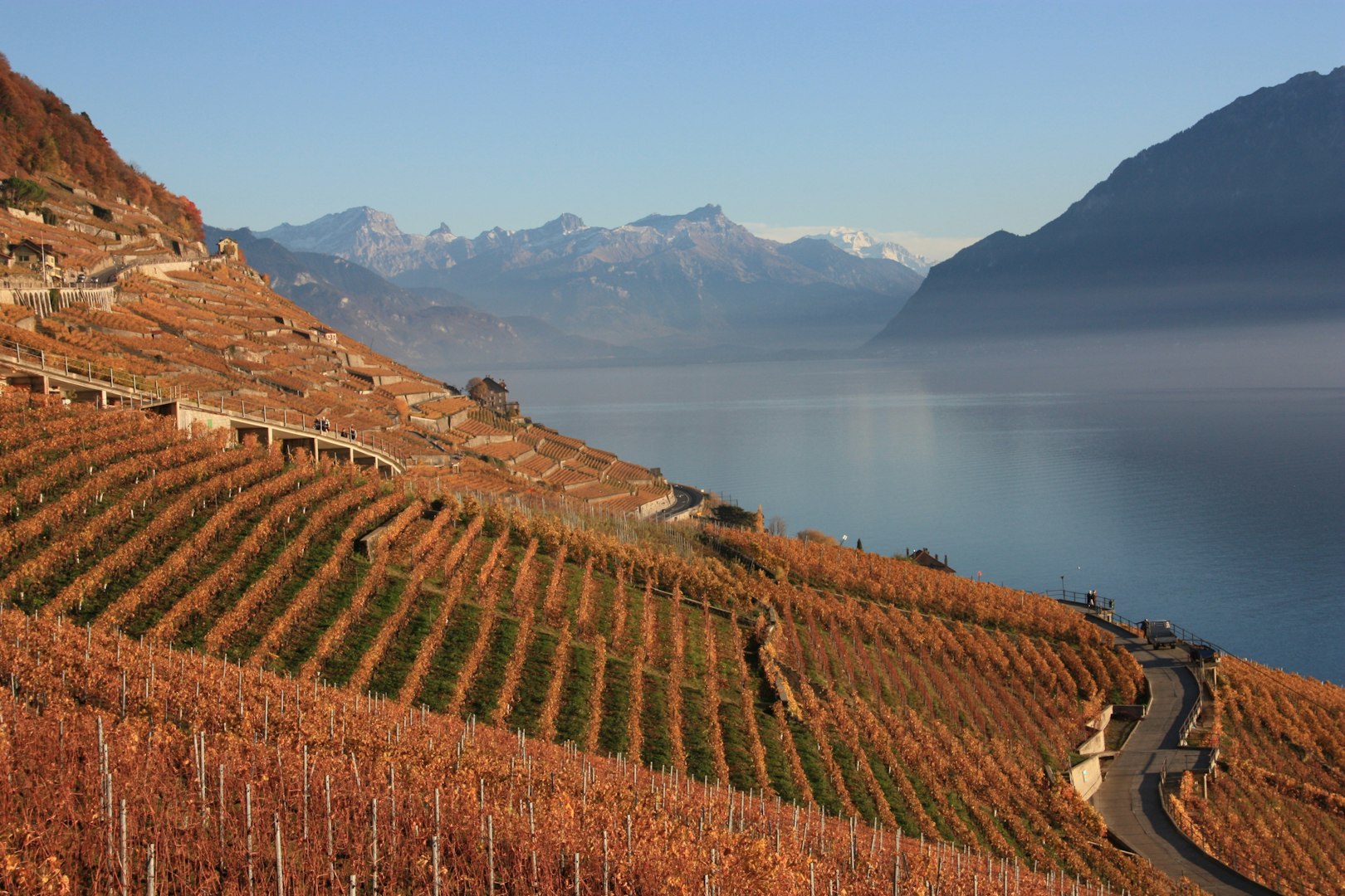 Vinprovning säsongens vin